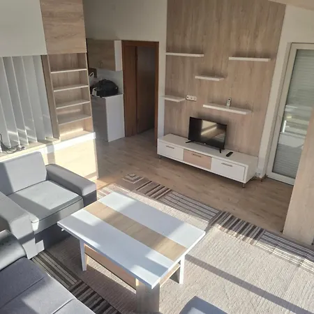 Luxury And Economic Apartment *